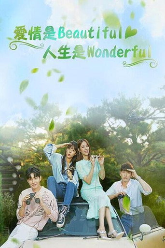 美丽爱情完美人生海报