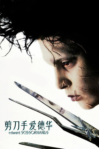 剪刀手爱德华海报