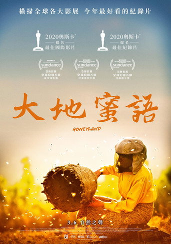 蜂蜜之地海报