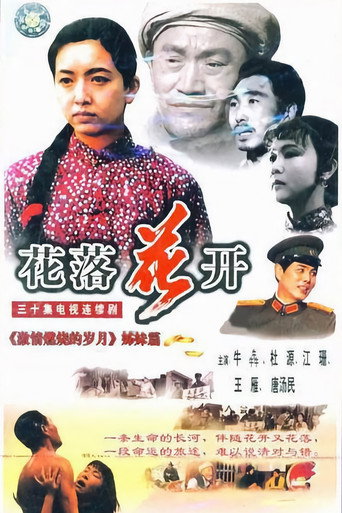 花落花开海报