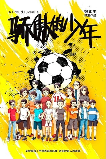 骄傲的少年海报