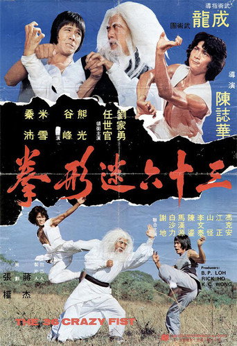 三十六迷形拳海报