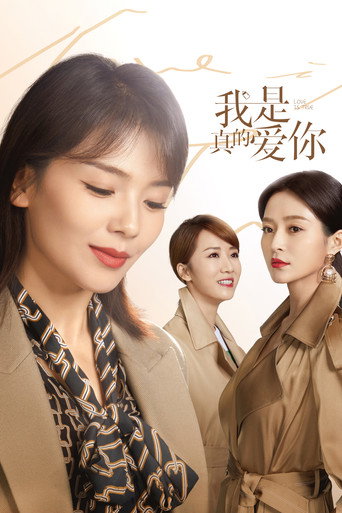 我是真的爱你海报