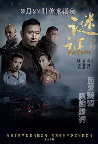 谜证海报