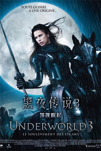 黑夜传说3：狼族崛起海报