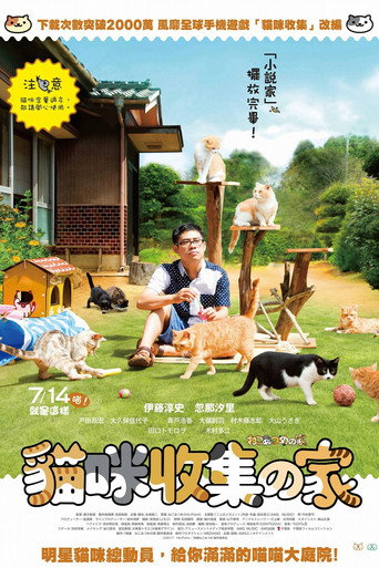 猫咪后院之家海报
