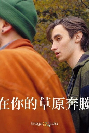 大象男孩海报