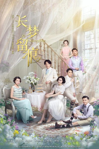 长梦留痕海报