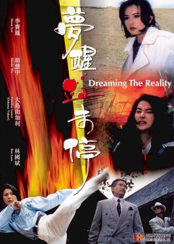 梦醒血未停海报