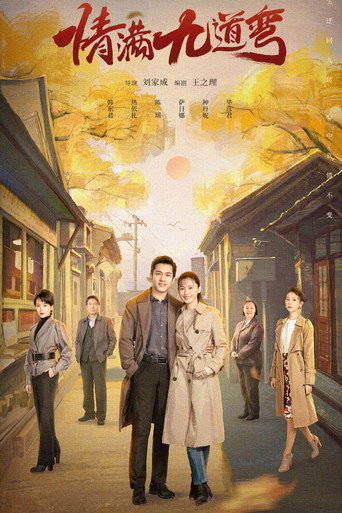 情满九道弯海报