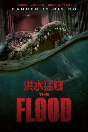 致命洪灾海报