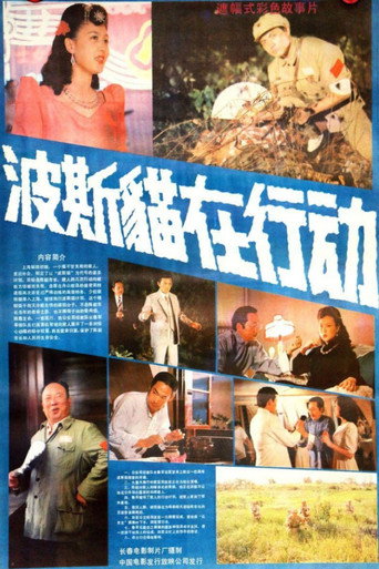 波斯猫在行动海报