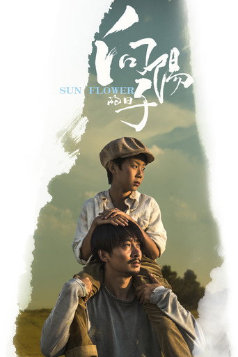 向阳的日子海报