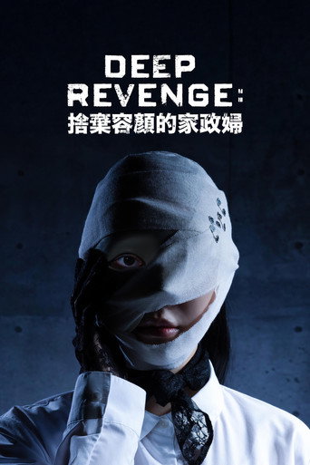 极致复仇：舍弃面容的家政妇海报