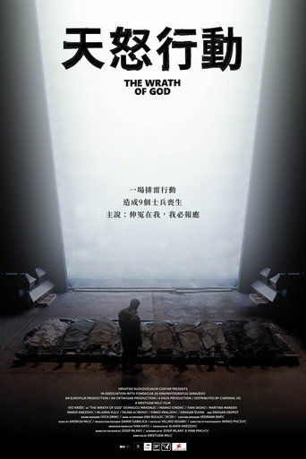 天怒行动海报