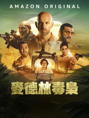 麦德林海报