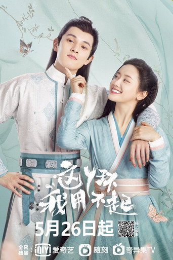 这丫环我用不起海报
