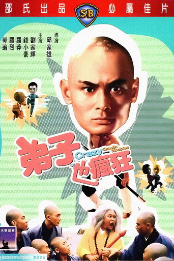 弟子也疯狂海报