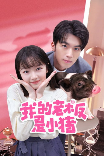 我的老板是小猪海报