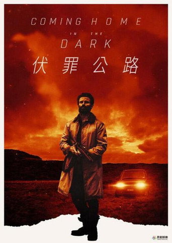 在黑暗中回家海报
