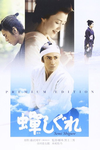 蝉时雨海报