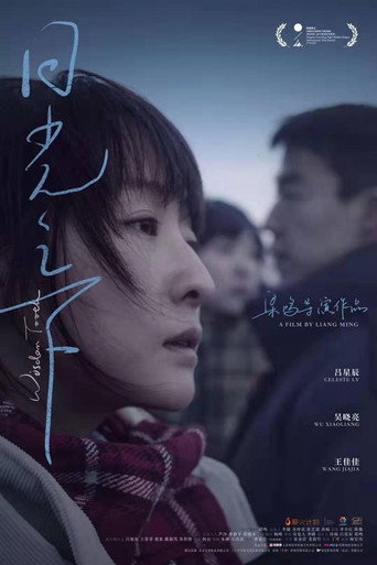 日光之下海报