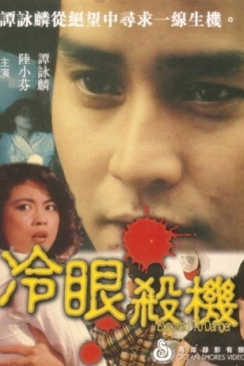 冷眼杀机海报