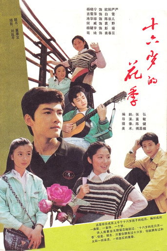 十六岁的花季海报