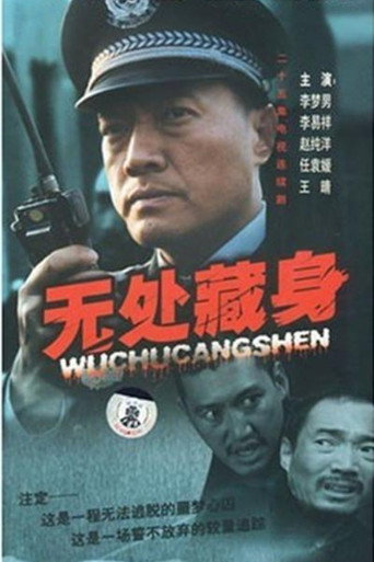 无处藏身海报