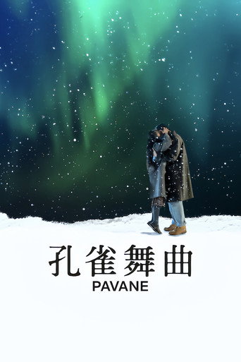 孔雀舞曲海报