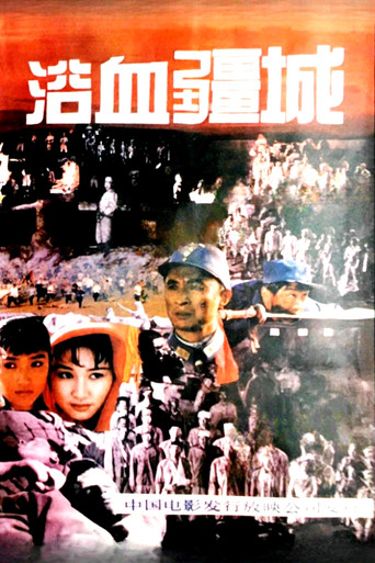 浴血疆城海报