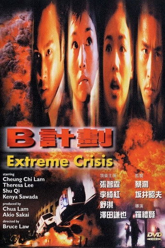 B计划海报
