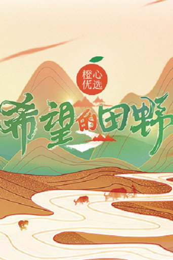 希望的田野海报