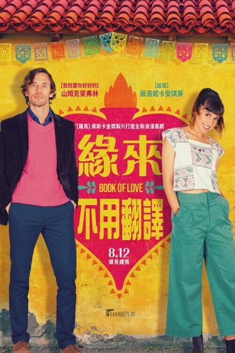 恋爱小说海报