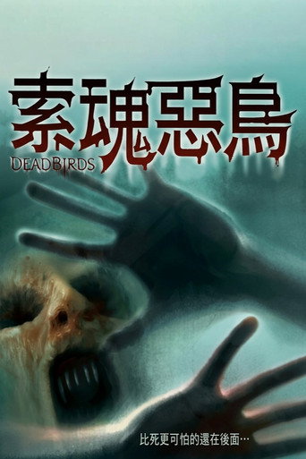 索魂恶鸟海报