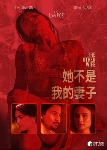她不是我的妻子海报
