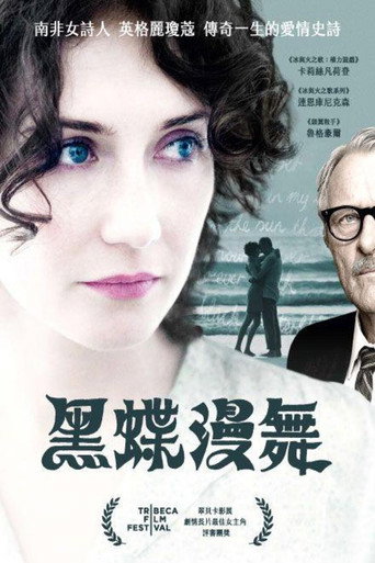 黑蝶漫舞海报