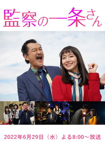 监察的一条先生海报