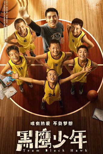 黑鹰少年海报