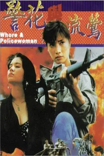 警花与流莺海报