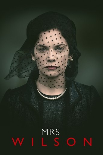 威尔森夫人海报