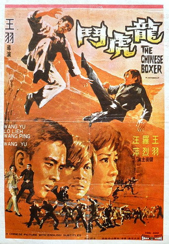 龙虎斗海报