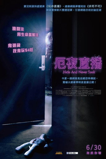 一个人的捉迷藏海报