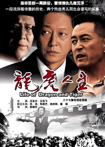 龙虎人生海报