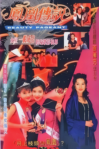 凤凰传说海报