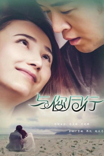 与你同行海报
