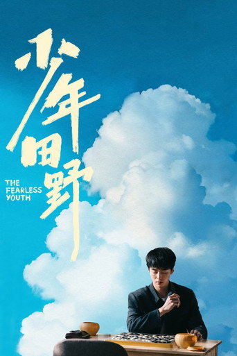少年田野海报