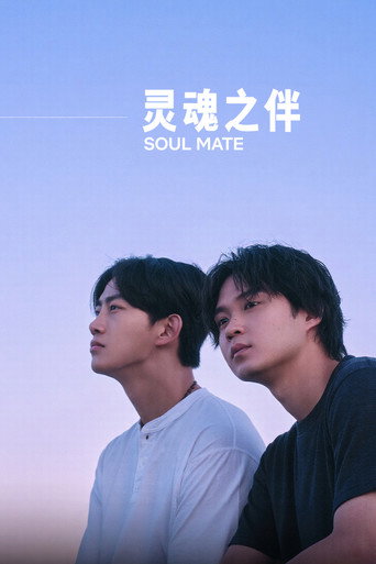 灵魂之伴海报