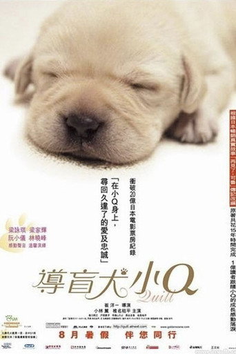 导盲犬小Q海报