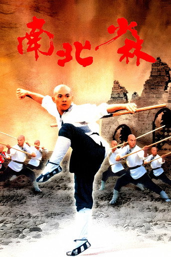 南北少林海报